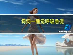 狗狗一睡觉呼吸急促