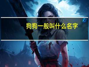 狗狗一般叫什么名字