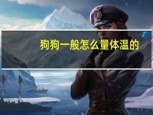 狗狗一般怎么量体温的