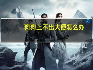 狗狗上不出大便怎么办