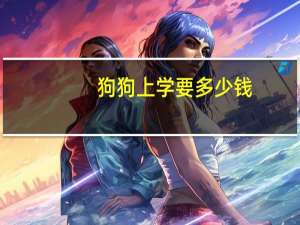 狗狗上学要多少钱