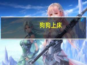 狗狗上床
