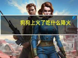 狗狗上火了吃什么降火