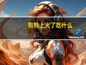 狗狗上火了吃什么