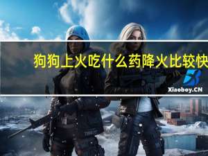 狗狗上火吃什么药降火比较快