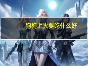 狗狗上火要吃什么好