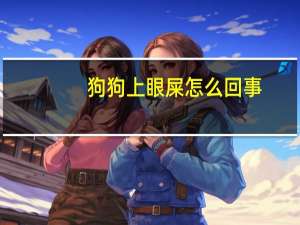 狗狗上眼屎怎么回事
