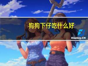 狗狗下仔吃什么好