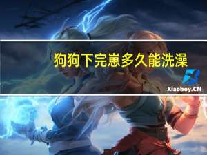 狗狗下完崽多久能洗澡