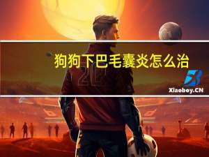 狗狗下巴毛囊炎怎么治