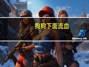 狗狗下面流血