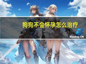 狗狗不会怀孕怎么治疗