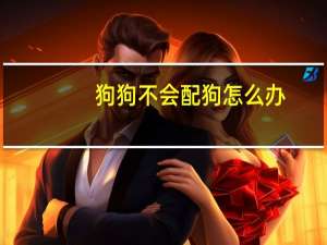 狗狗不会配狗怎么办