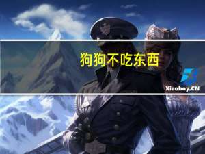 狗狗不吃东西