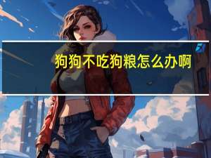 狗狗不吃狗粮怎么办啊