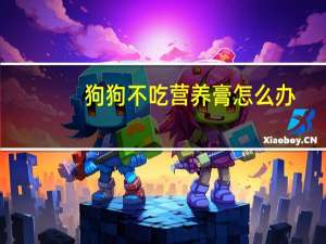 狗狗不吃营养膏怎么办