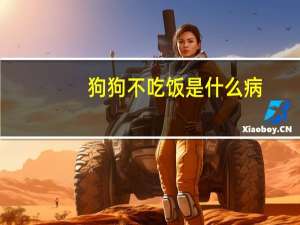 狗狗不吃饭是什么病