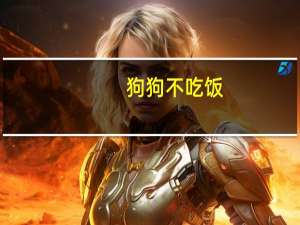 狗狗不吃饭