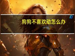 狗狗不喜欢动怎么办