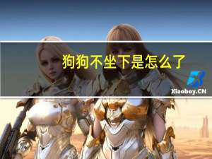 狗狗不坐下是怎么了
