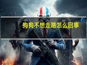狗狗不想走路怎么回事