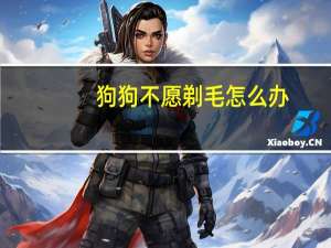 狗狗不愿剃毛怎么办