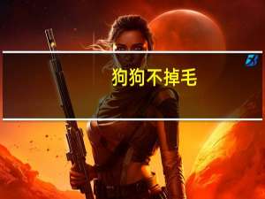 狗狗不掉毛