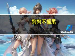 狗狗不摇尾