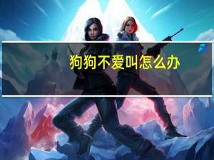 狗狗不爱叫怎么办