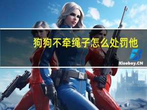 狗狗不牵绳子怎么处罚他