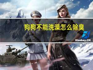 狗狗不能洗澡怎么除臭
