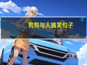 狗狗与人搞笑句子