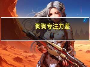 狗狗专注力差