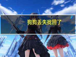 狗狗丢失找回了