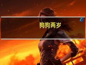 狗狗两岁