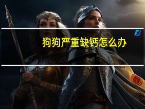 狗狗严重缺钙怎么办