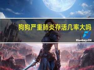 狗狗严重肺炎存活几率大吗