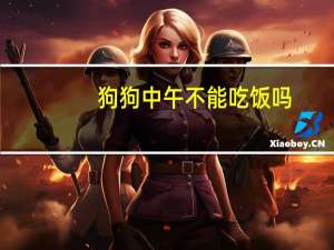 狗狗中午不能吃饭吗