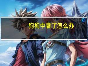 狗狗中暑了怎么办