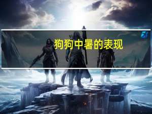 狗狗中暑的表现
