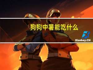 狗狗中暑能吃什么