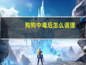 狗狗中毒后怎么调理