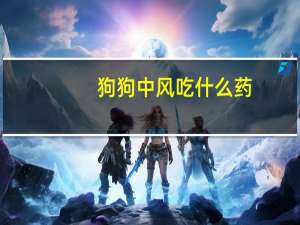 狗狗中风吃什么药