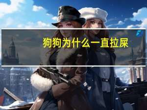 狗狗为什么一直拉屎