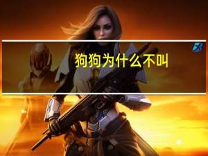 狗狗为什么不叫