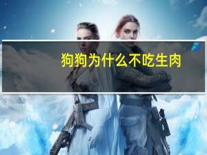 狗狗为什么不吃生肉