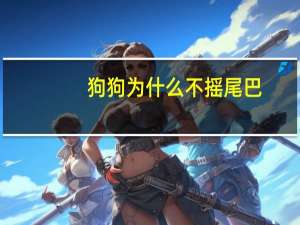 狗狗为什么不摇尾巴