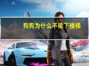 狗狗为什么不能下楼梯