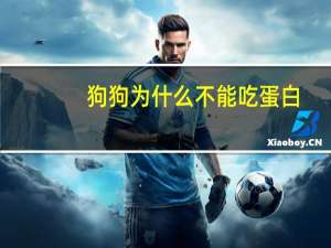 狗狗为什么不能吃蛋白