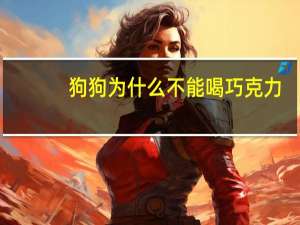 狗狗为什么不能喝巧克力